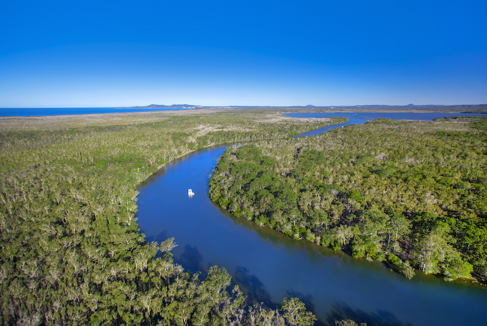 Noosa Everglades