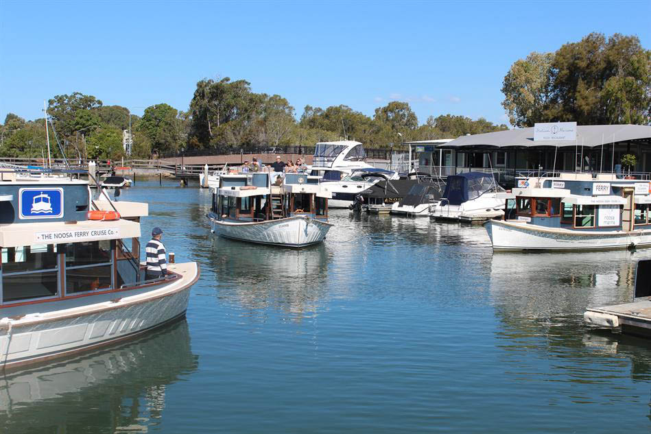 Noosa Ferry